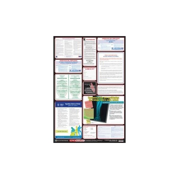 Accuform POSTERS COMBO STATE, FEDERAL AND OSHA PPG400FL PPG400FL - main